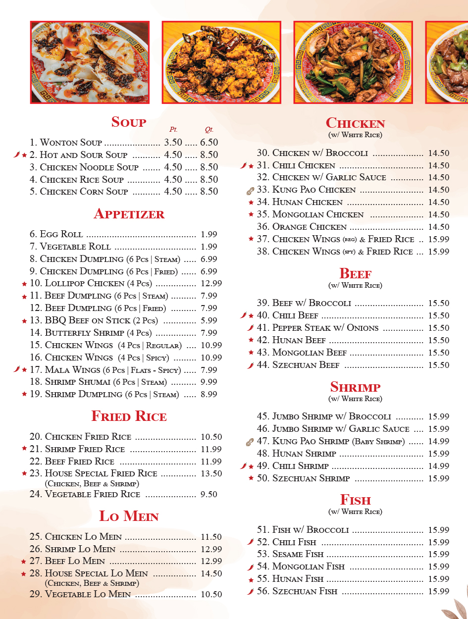 Halal Chinese Menu